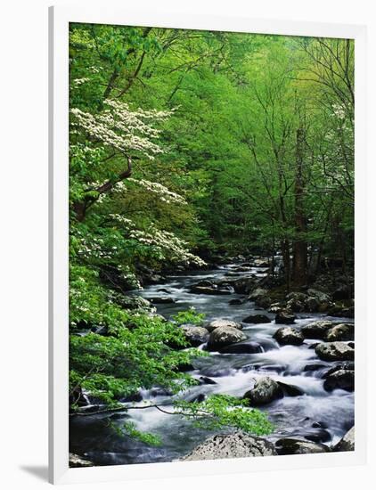 Stream in Lush Forest-Ron Watts-Framed Photographic Print