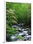 Stream in Lush Forest-Ron Watts-Framed Photographic Print