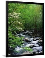 Stream in Lush Forest-Ron Watts-Framed Photographic Print