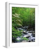 Stream in Lush Forest-Ron Watts-Framed Photographic Print