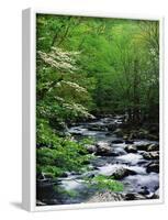 Stream in Lush Forest-Ron Watts-Framed Photographic Print