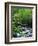 Stream in Lush Forest-Ron Watts-Framed Photographic Print