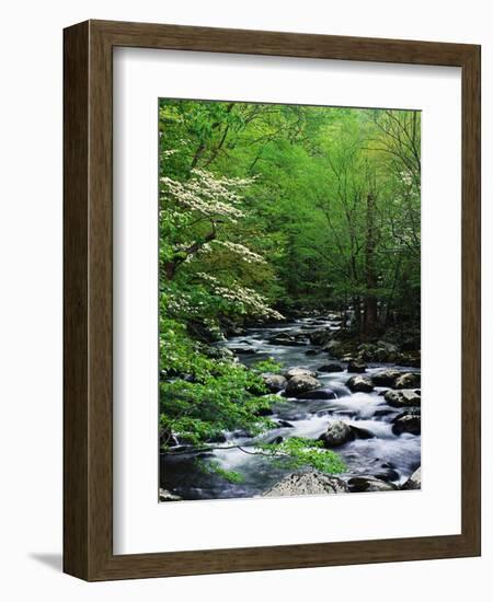 Stream in Lush Forest-Ron Watts-Framed Photographic Print