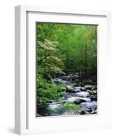 Stream in Lush Forest-Ron Watts-Framed Photographic Print