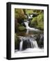 Stream in Oak Wood, Ariundle Woods National Nature Reserve, Strontian, Argyll, Scotland, UK-Toon Ann & Steve-Framed Photographic Print