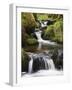 Stream in Oak Wood, Ariundle Woods National Nature Reserve, Strontian, Argyll, Scotland, UK-Toon Ann & Steve-Framed Photographic Print