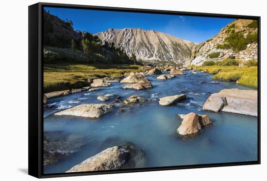 Stream in Sam Mack Meadow, John Muir Wilderness, Sierra Nevada Mountains, California, USA-Russ Bishop-Framed Stretched Canvas