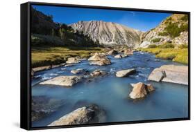 Stream in Sam Mack Meadow, John Muir Wilderness, Sierra Nevada Mountains, California, USA-Russ Bishop-Framed Stretched Canvas