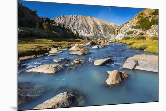 Stream in Sam Mack Meadow, John Muir Wilderness, Sierra Nevada Mountains, California, USA-Russ Bishop-Mounted Premium Photographic Print