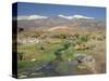 Stream in the Atacama Desert with the Andes on the Horizon, San Pedro De Atacama Region, Chile-Robert Francis-Stretched Canvas