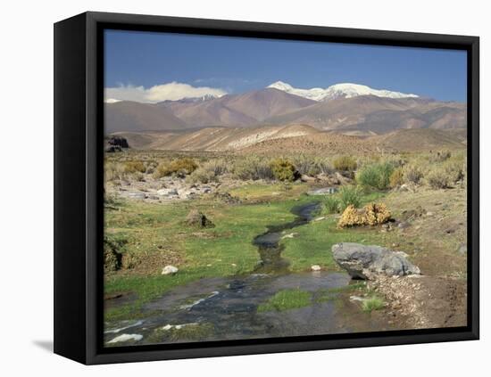 Stream in the Atacama Desert with the Andes on the Horizon, San Pedro De Atacama Region, Chile-Robert Francis-Framed Stretched Canvas