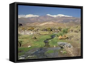 Stream in the Atacama Desert with the Andes on the Horizon, San Pedro De Atacama Region, Chile-Robert Francis-Framed Stretched Canvas