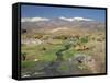 Stream in the Atacama Desert with the Andes on the Horizon, San Pedro De Atacama Region, Chile-Robert Francis-Framed Stretched Canvas