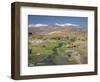 Stream in the Atacama Desert with the Andes on the Horizon, San Pedro De Atacama Region, Chile-Robert Francis-Framed Photographic Print