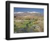 Stream in the Atacama Desert with the Andes on the Horizon, San Pedro De Atacama Region, Chile-Robert Francis-Framed Photographic Print