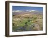 Stream in the Atacama Desert with the Andes on the Horizon, San Pedro De Atacama Region, Chile-Robert Francis-Framed Photographic Print