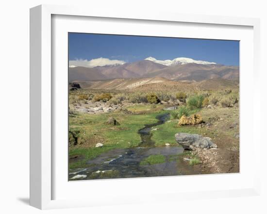 Stream in the Atacama Desert with the Andes on the Horizon, San Pedro De Atacama Region, Chile-Robert Francis-Framed Photographic Print