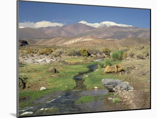 Stream in the Atacama Desert with the Andes on the Horizon, San Pedro De Atacama Region, Chile-Robert Francis-Mounted Photographic Print