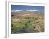 Stream in the Atacama Desert with the Andes on the Horizon, San Pedro De Atacama Region, Chile-Robert Francis-Framed Photographic Print