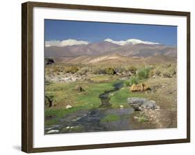 Stream in the Atacama Desert with the Andes on the Horizon, San Pedro De Atacama Region, Chile-Robert Francis-Framed Photographic Print