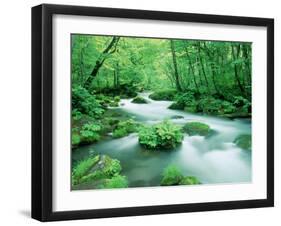 Stream in the Forest-null-Framed Premium Photographic Print