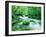 Stream in the Forest-null-Framed Premium Photographic Print