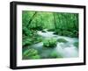 Stream in the Forest-null-Framed Premium Photographic Print