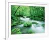 Stream in the Forest-null-Framed Photographic Print