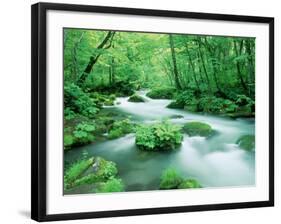 Stream in the Forest-null-Framed Photographic Print