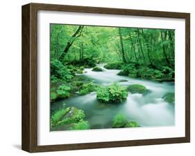 Stream in the Forest-null-Framed Photographic Print