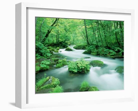 Stream in the Forest-null-Framed Photographic Print