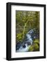 Stream in the rainforest near Alice Lake Provincial Park. Squamish, British Columbia, Canada.-Kristin Piljay-Framed Photographic Print