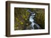 Stream in the rainforest near Alice Lake Provincial Park. Squamish, British Columbia, Canada.-Kristin Piljay-Framed Photographic Print