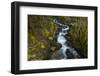 Stream in the rainforest near Alice Lake Provincial Park. Squamish, British Columbia, Canada.-Kristin Piljay-Framed Photographic Print