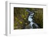 Stream in the rainforest near Alice Lake Provincial Park. Squamish, British Columbia, Canada.-Kristin Piljay-Framed Photographic Print