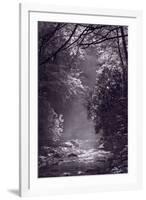 Stream Light BW-Steve Gadomski-Framed Photographic Print