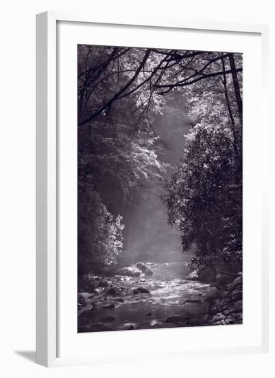 Stream Light BW-Steve Gadomski-Framed Photographic Print