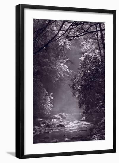 Stream Light BW-Steve Gadomski-Framed Photographic Print