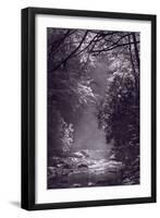 Stream Light BW-Steve Gadomski-Framed Premium Photographic Print