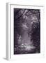 Stream Light BW-Steve Gadomski-Framed Premium Photographic Print