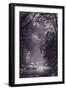 Stream Light BW-Steve Gadomski-Framed Photographic Print