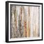 Stream Line-Alexys Henry-Framed Giclee Print