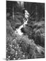 Stream Lined with Bitter Cress, Mountain Bluebells, Colorado, USA-Adam Jones-Mounted Photographic Print