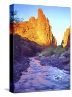 Stream Near Fisher Towers, Utah, USA-Christopher Talbot Frank-Stretched Canvas