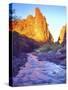 Stream Near Fisher Towers, Utah, USA-Christopher Talbot Frank-Stretched Canvas