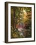 Stream of Consciousness-Jessica Jenney-Framed Giclee Print