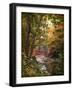 Stream of Consciousness-Jessica Jenney-Framed Giclee Print