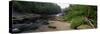 Stream of Water Flowing through a Forest, Swallow Falls State Park, Maryland, USA-null-Stretched Canvas