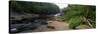 Stream of Water Flowing through a Forest, Swallow Falls State Park, Maryland, USA-null-Stretched Canvas