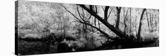 Stream of Water Flowing through a Forest, Wisconsin, USA-null-Stretched Canvas